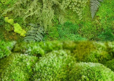 永生苔藓墙装饰-成都芮芸景观艺术