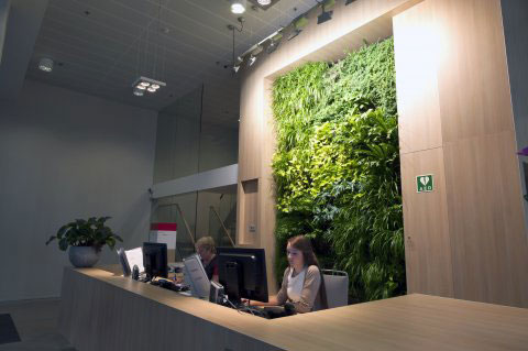 仿真植物前台背景墙，公司前台仿真植物墙-成都芮芸景观艺术公司