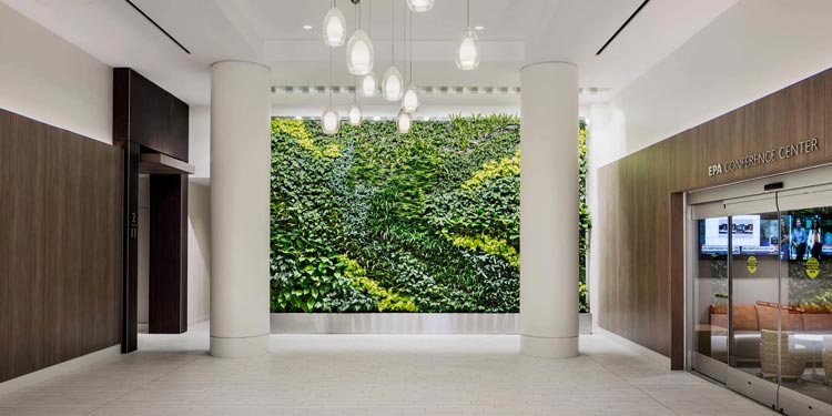 12个室内大型仿真植物墙设计实景图片案例，室内大型仿真植物墙定制安装-成都芮芸景观艺术公司