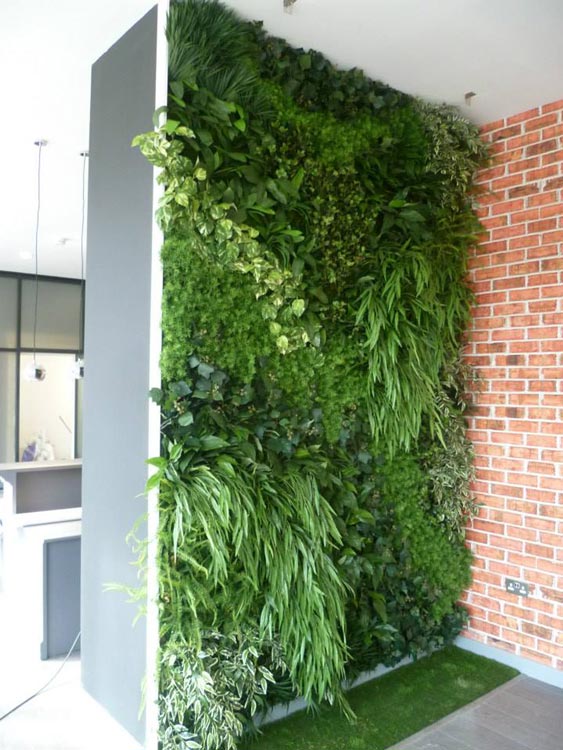 室内仿真植物墙装修实景图片-成都芮芸仿真植物墙公司