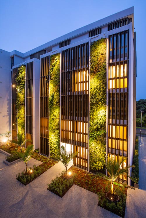 21个室外仿真植物墙图片案例欣赏参考-成都芮芸仿真植物墙公司